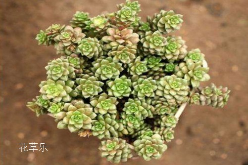 拍外景用镜头好国产麻豆精品人妻无码a片，揭秘摄影艺术的户外魅力与镜头选择秘诀