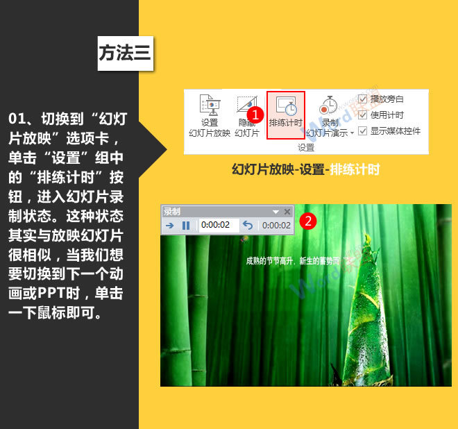 樱花动漫图片宝典人妻系列影片无码专区50，解锁二次元的浪漫与梦幻